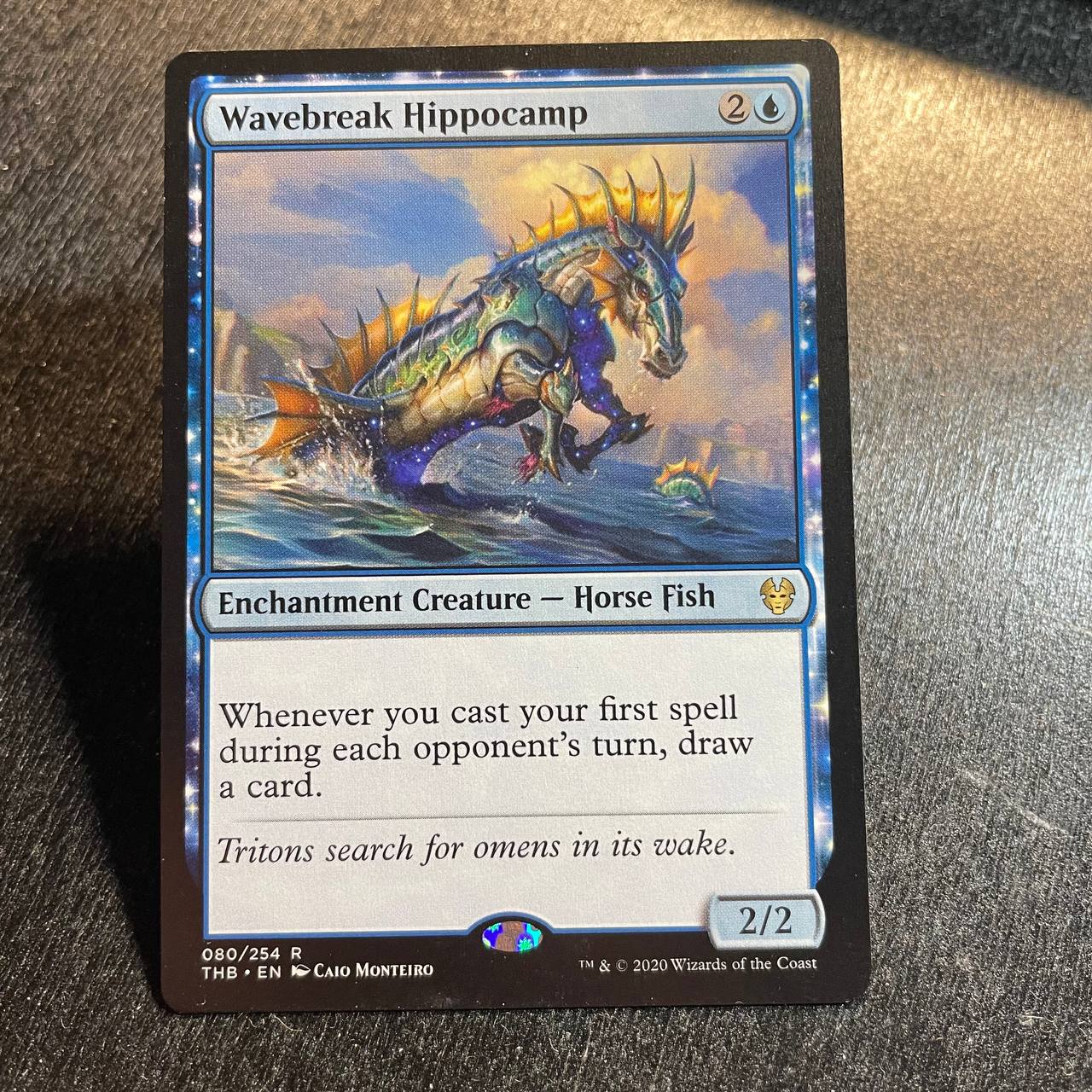 Wavebreak Hippocamp