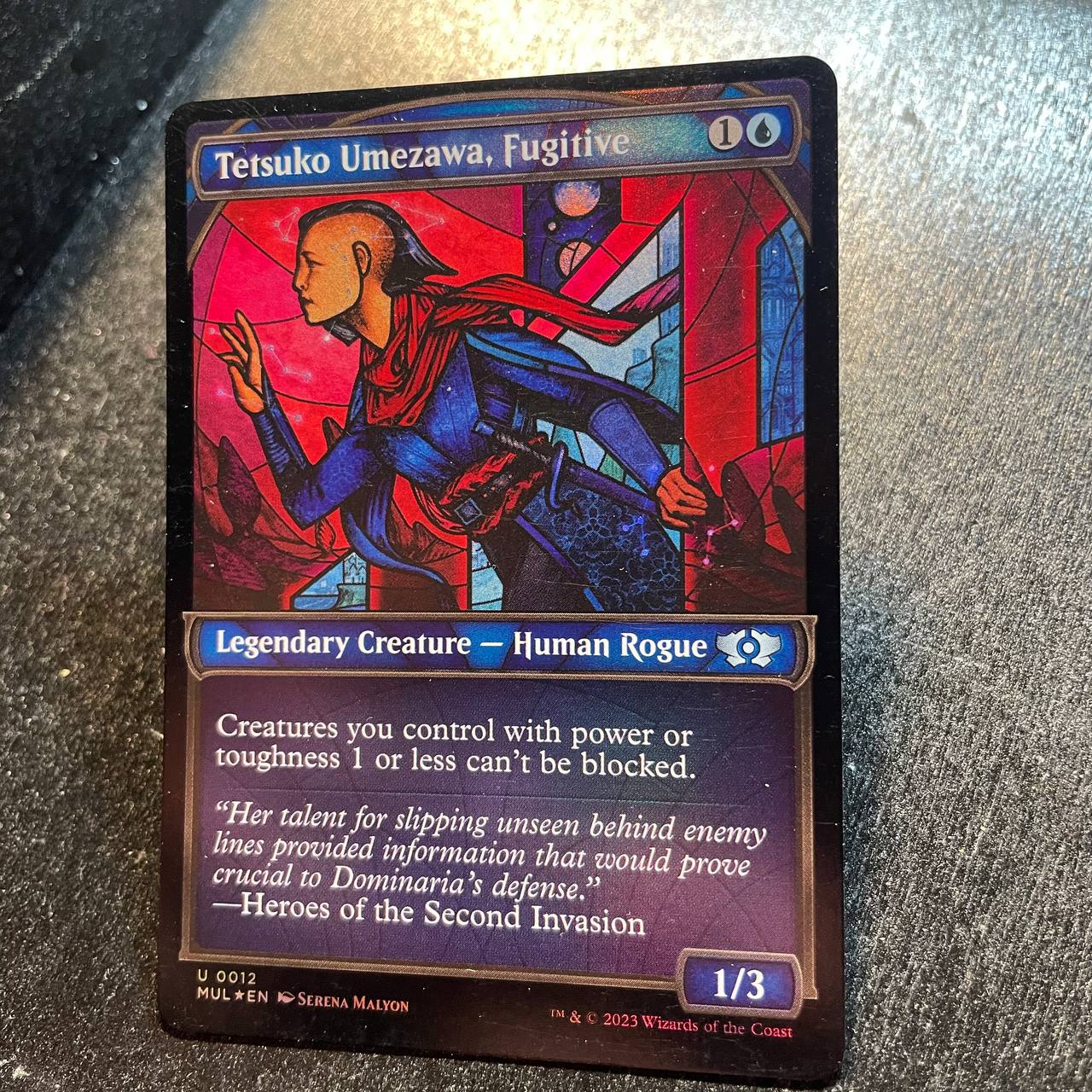 Tetsuko Umezawa, Fugitive FOIL