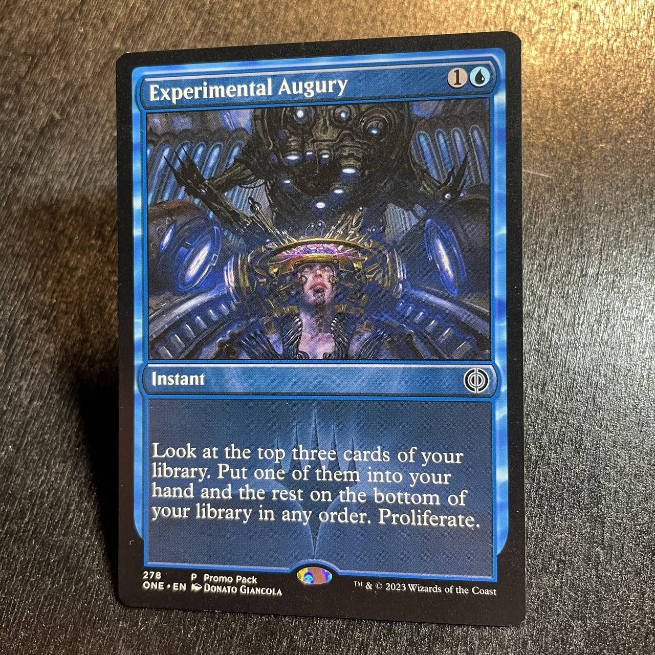 Experimental Augury (promo)