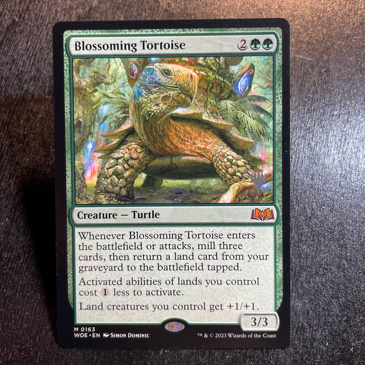 Blossoming Tortoise